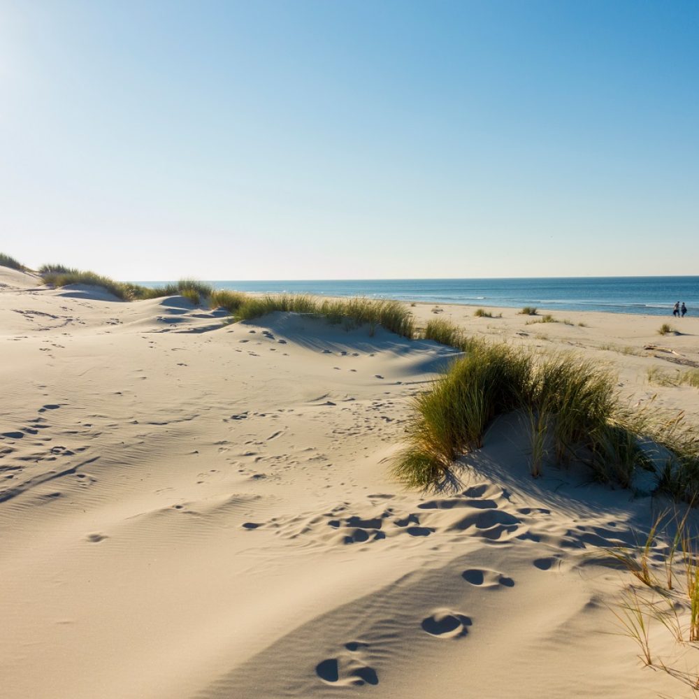 Czołpino wydma wydmy morze bałtyckie bałtyk piasek plaża